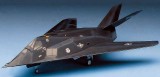 F-117A STEALTH Fighter/Bomber