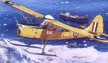 Auster Antarctic
