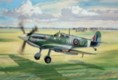 Supermarine Spitfire Mk Vb