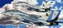 F-14D Tomcat VFA-213 Black Lions - 2 szt.