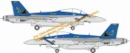 F/A-18F Super Hornet Hornet "Black Lions" (VFA-213)