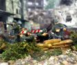 German 352nd Infantry Division - Normandy 1944