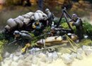 German 716 Infantry Division, Normandy 1944