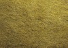 Mata dzika trawa, jasno-zielona - 40 x 29,5 cm