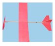 Delta - rubber propelled airplane model