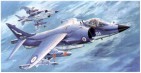 Sea Harrier FRS Mk.1