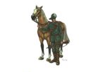 Australian Light Horse
