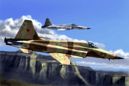 F-5E Tiger II Fighter