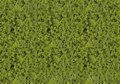 Heki-flor - light-green