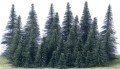 Drzewa - choinki - wys. 7-15 cm - 50 sztuk.