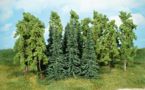 Deciduous trees - 14-16 cm - 12 pcs.