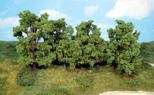 Deciduous trees - 6-13 cm - 12 pcs.