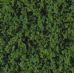 Dark geen foliage