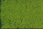 HEKI Mikroflor - light green 14 x 28 cm