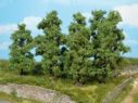 Fruit trees - 9-11 cm - 4 pcs.