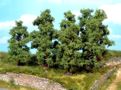 Fruit trees - 5-8 cm - 5 pcs.