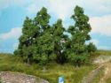Fruit trees - 5-8 cm - 5 pcs.
