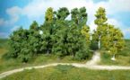 Deciduous trees 8-18cm - 14 pcs.