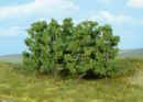 Alders 8 cm - 6 pcs.