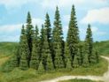 Firs 5-7 cm - 9 pcs.