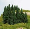 Spruces 5-14 cm - 100 pcs.