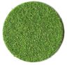 Coarse Groundcover Bright Green