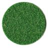 Coarse Groundcover Dark Green