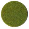 Spring meadow grass fiber
