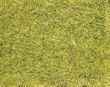 Wild grass meadow - green grass fiber