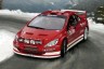 Peugeot 307 WRC'04 w/Paints and Glue