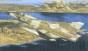 Mirage III C/B
