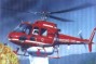 ECUREUIL BOMBARDIER D'EAU
