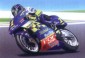SUZUKI RGV 500