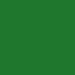 Paint Satin mid green