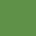 Paint Green