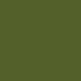 Paint Matt Forest Green