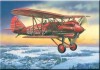 Soviet fighter-biplane I-5 (early)