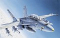 F/A-18 C/D Wild Weasel