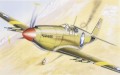 P-51 Mustang I Razorback