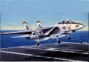 F-14A Tomcat