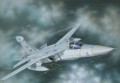 EF-111 A Raven
