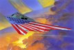 F-117A Nighthawk Stars and Stripes