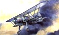 Italian CR.42 LW
