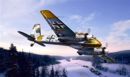 Henschel HS-129 B-2 - WWII