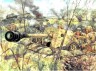 Niemieckie dzialo przeciwpancerne PAK 40 z obsluga