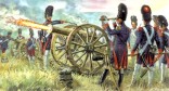 Napoleonic French Imperial Guard Artillery