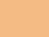 Flat Skin Tone Tint Base - Light FS31575 -