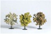 Tree, bush, hedge