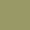 Paint Pale Green