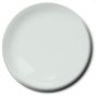 Paint Light Gray FS36495